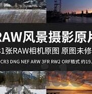 贺伟南非世界杯-贺炜南非世界杯，激情与诗意的碰撞